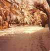 Highslide JS